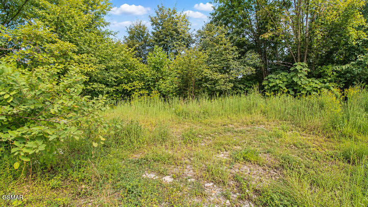 Property Photo: