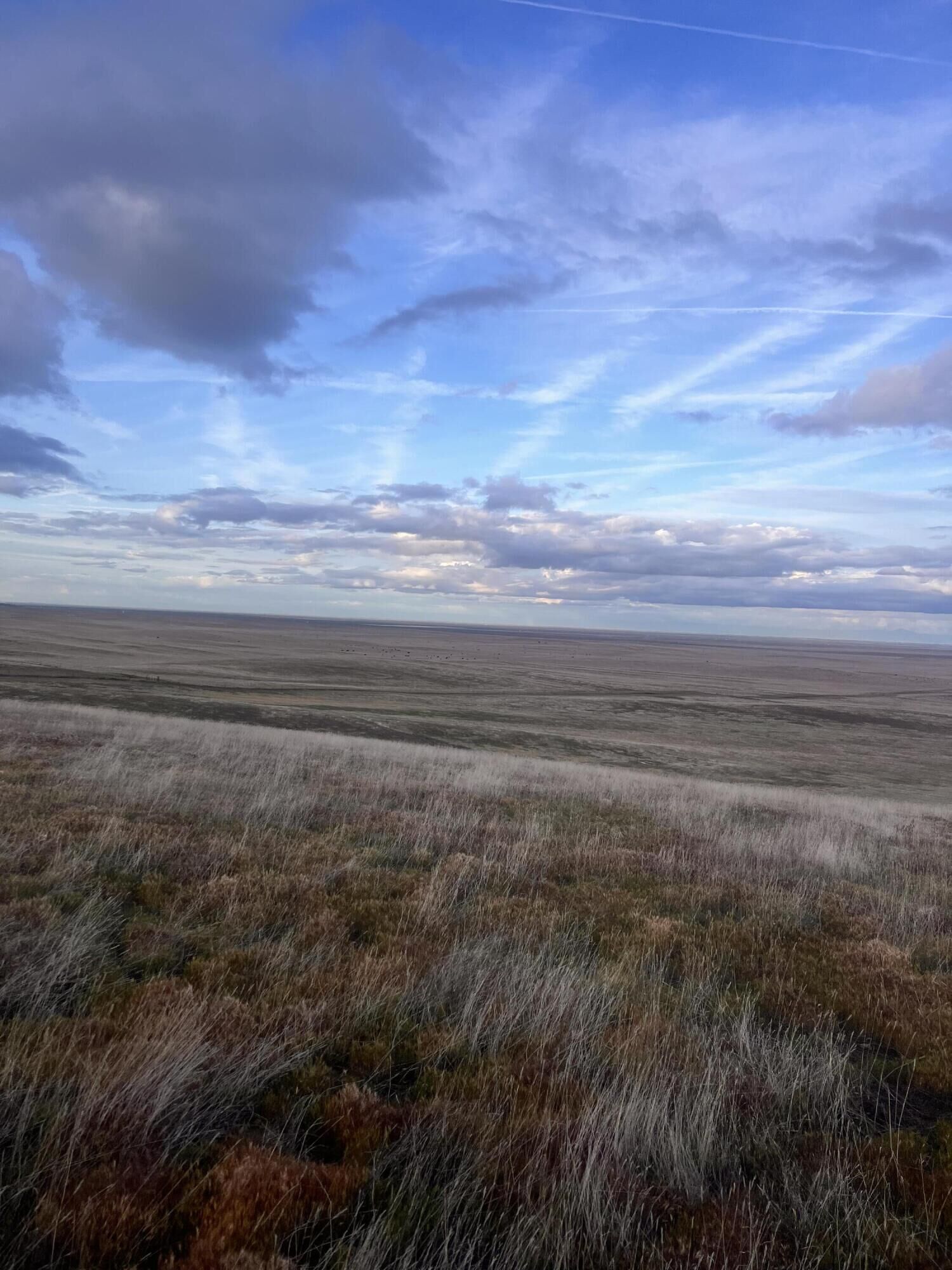 Property Photo:  Kings Rd  CA 93249 