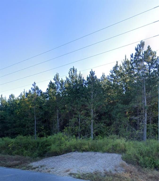 Property Photo:  000 Willie Varnum Road  AL 36301 