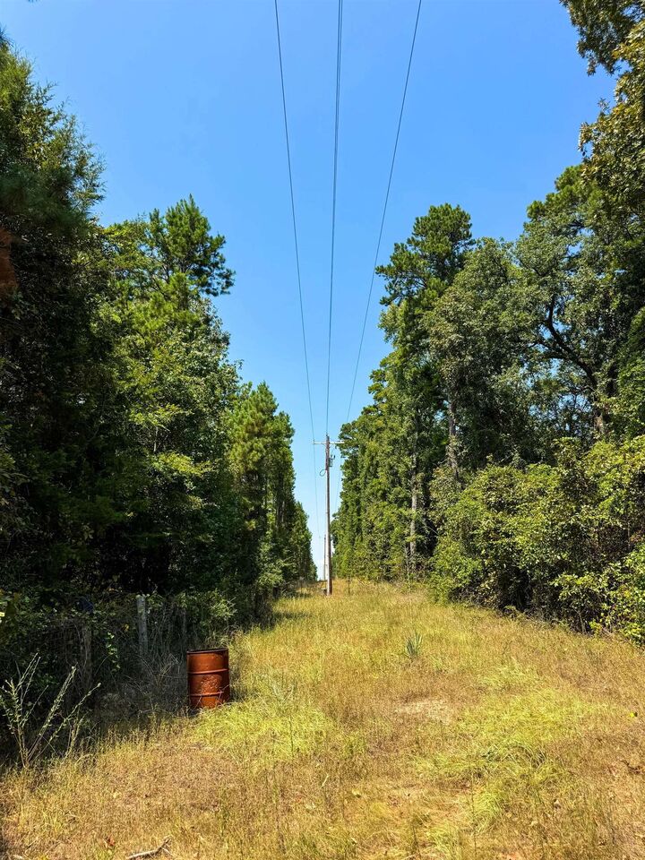 Property Photo:  3288 Texas Highway 43  TX 75657 