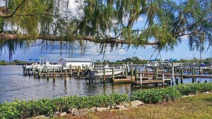 Property Photo: 60 Braden Castle Drive FL 34208