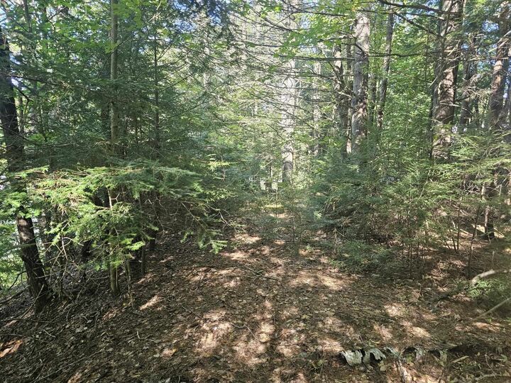 Property Photo: 00 Apple Hill Road NH 03445