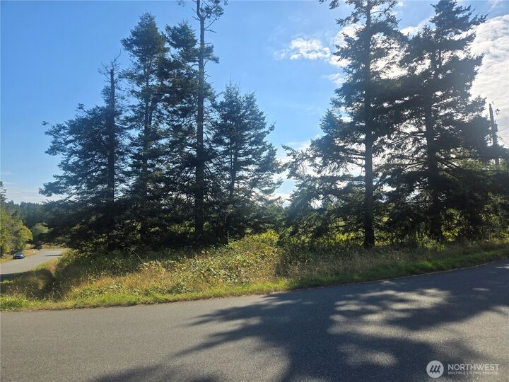Property Photo:  0 Xxx  Lacana Street  WA 98239 