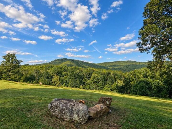 Property Photo:  1538 Greenfield Road  GA 30536 