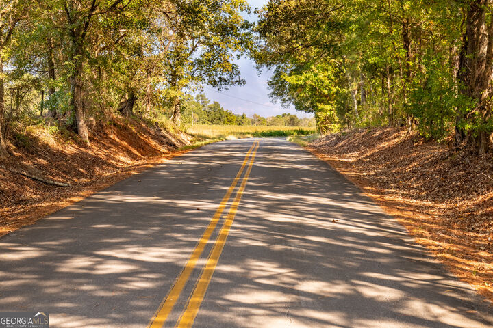 Property Photo:  0 Livingston Rd  GA 30161 
