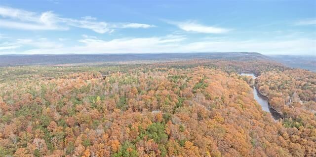 Property Photo:  Lot 67 County  103 Road  AL 35984 