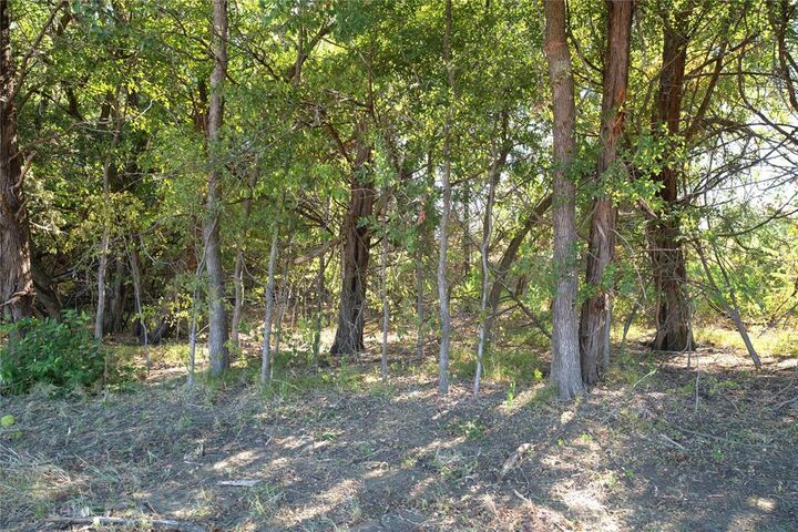 Property Photo:  43 County Road 42351  TX 75462 
