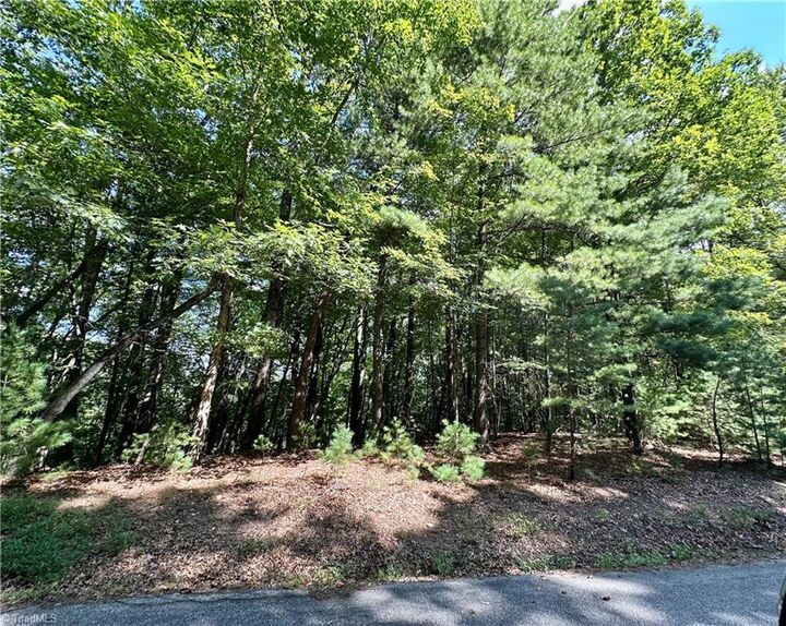 Property Photo:  Lot 2 Sutters Ridge Road  NC 28649 