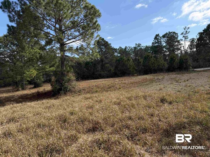 Property Photo:  31849 Randolf Avenue  AL 36549 