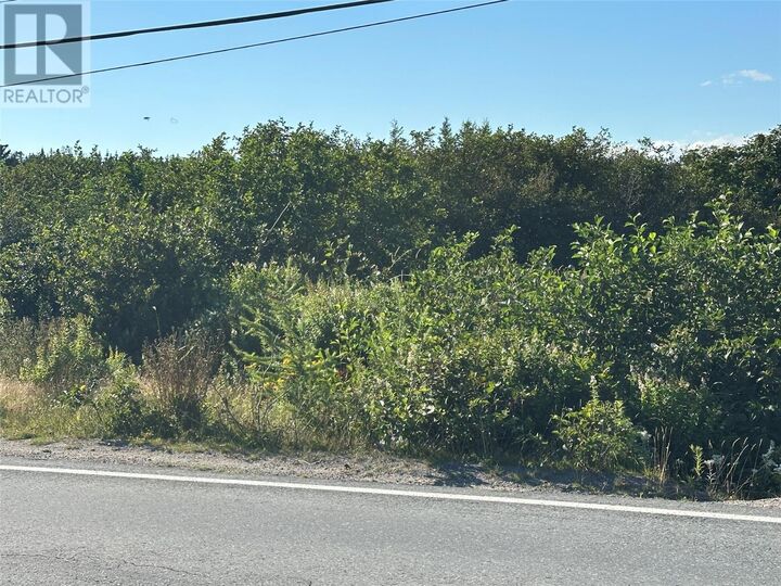 Property Photo:  293-297 Main Road  NL A0B 2B0 