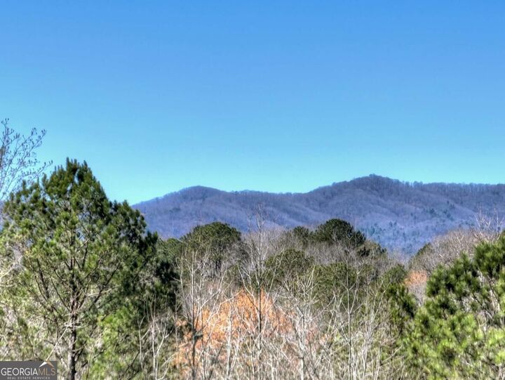 Property Photo:  229 Crossroads Church Road  GA 30540 