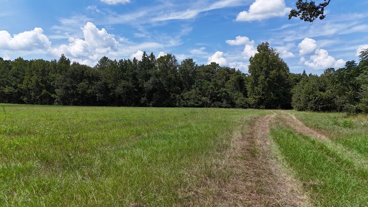 Property Photo: 286 Shrike Road SC 29135