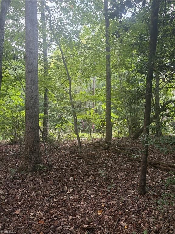 Property Photo: Lot 1 Edgewood Road NC 28697