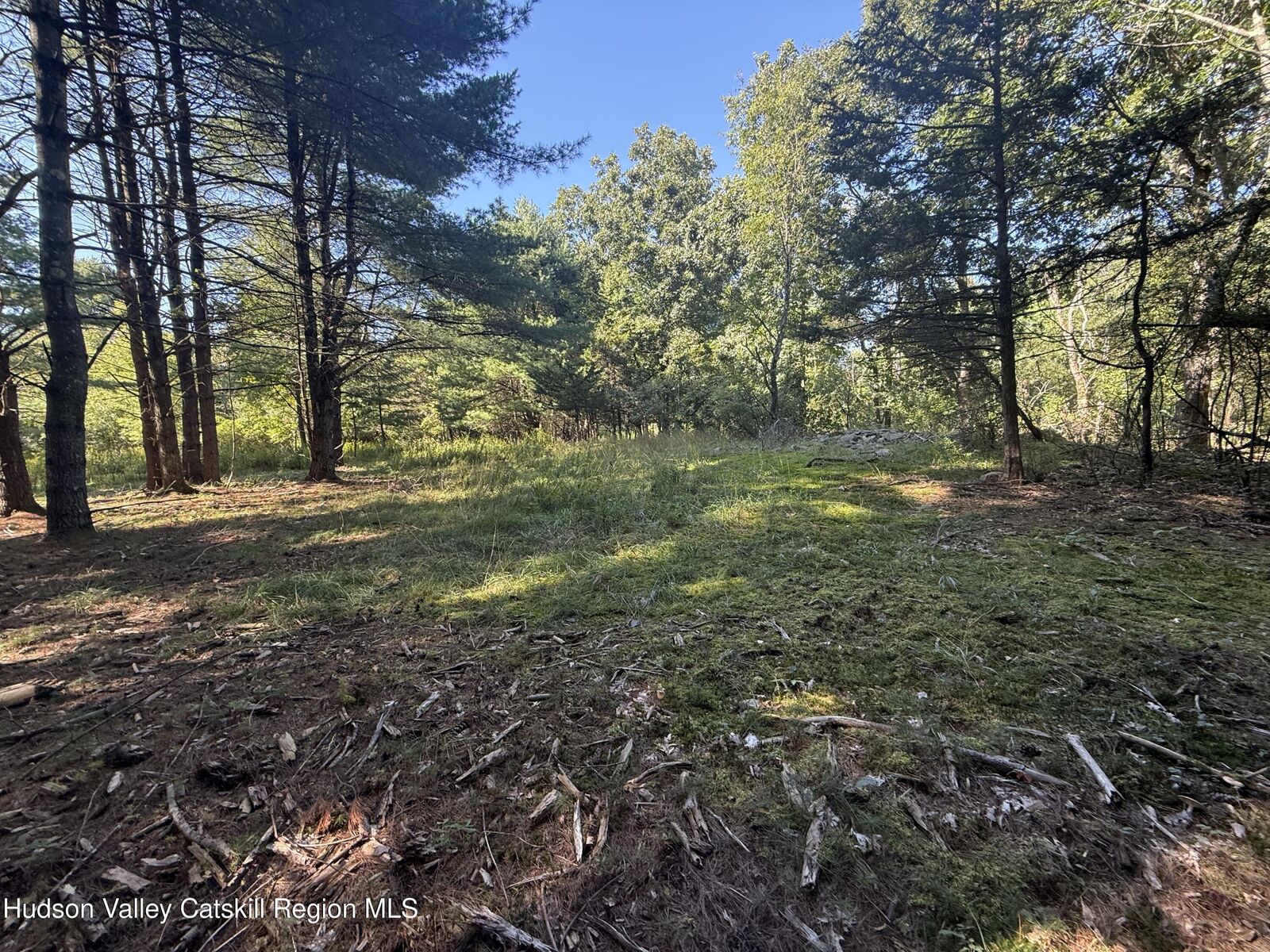 Property Photo: Tbd County Rte 51 NY 12124