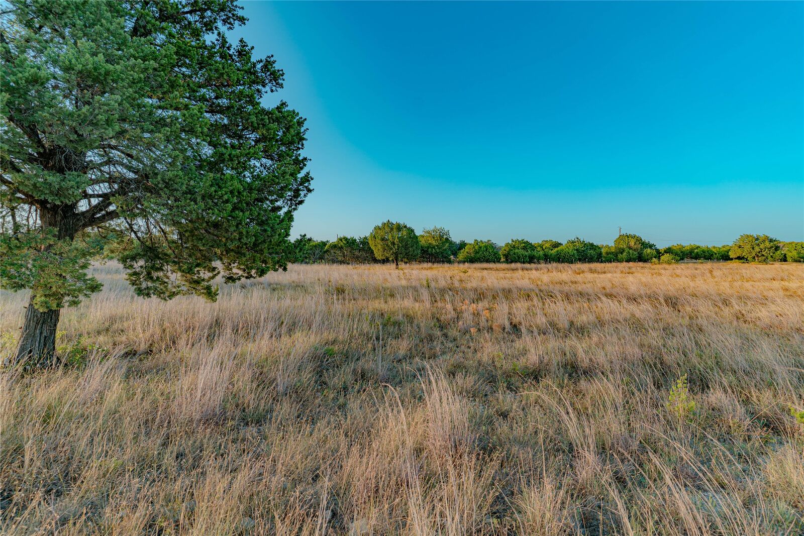 Property Photo:  Tbd Ramms Drive  TX 76527 