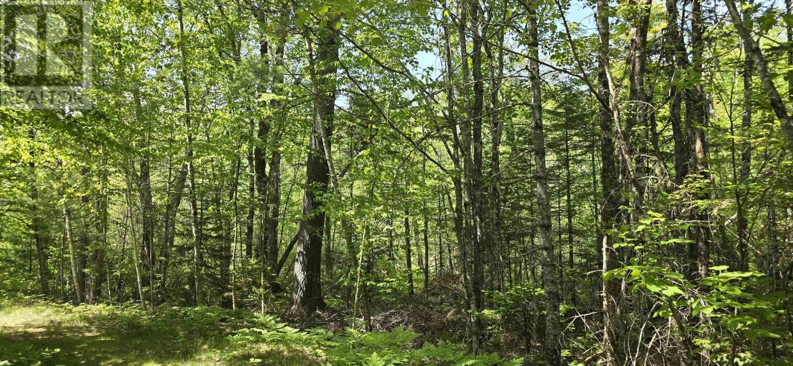 Property Photo:  Lots 174A&176A Spruce Drive  NS B0R 1E0 