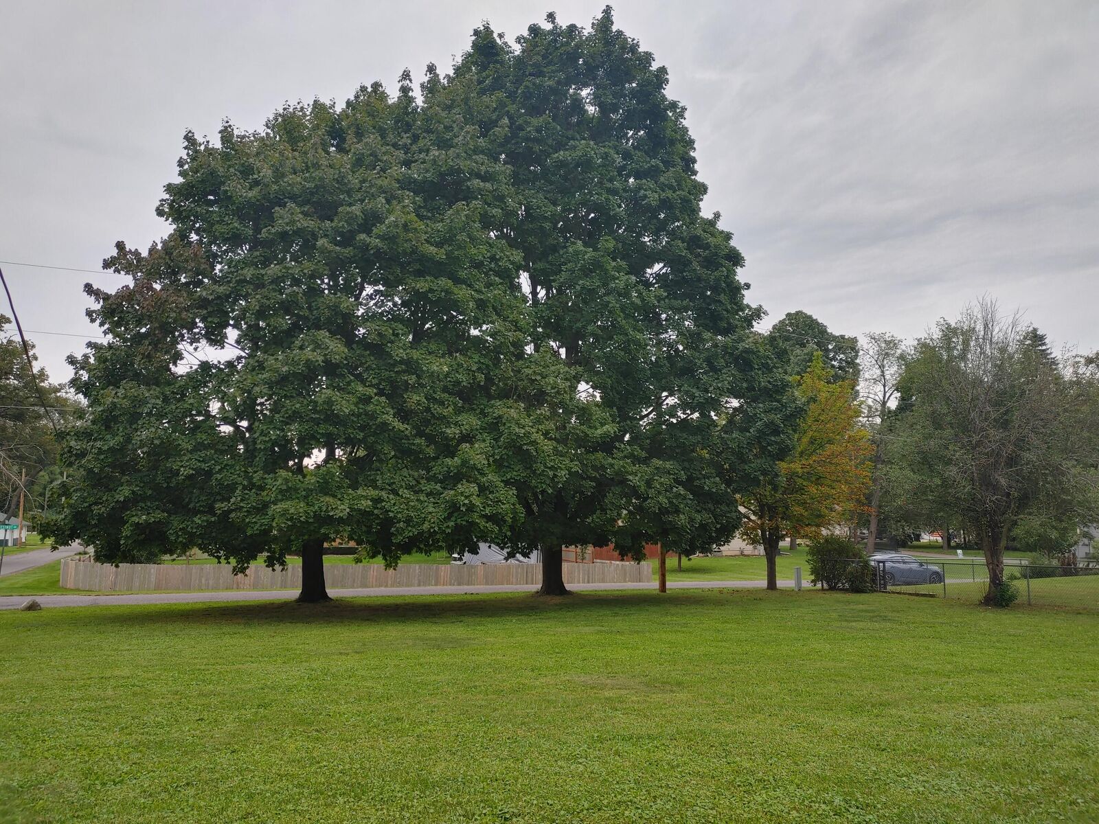 Property Photo: Lt2 Pine Rd WI 53128