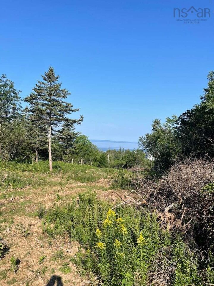 Property Photo:  14764 Highway 4  NS B0E 3B0 