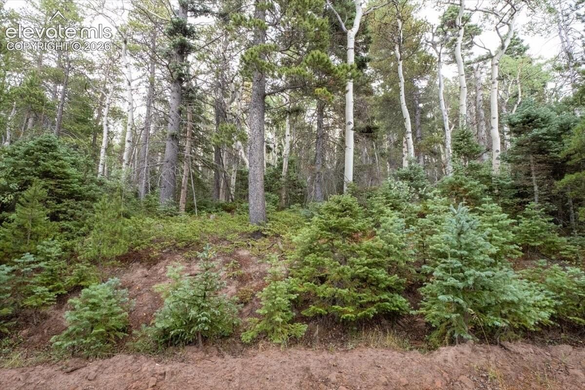 Property Photo:  Lot 2614 Petito Drive  CO 81133 