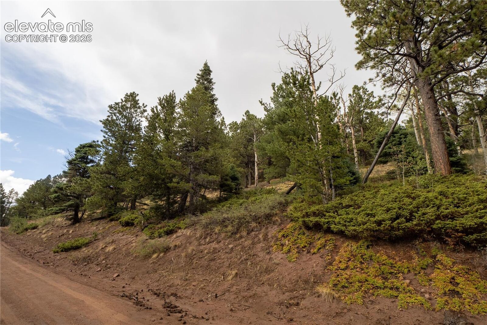 Property Photo:  Lot 2797 Moir Drive  CO 81133 