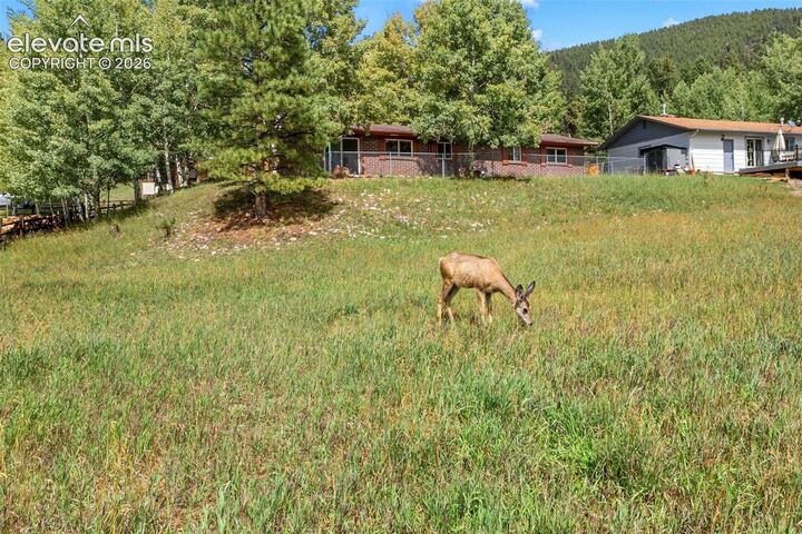 Property Photo:  1035 Park View Road  CO 80863 