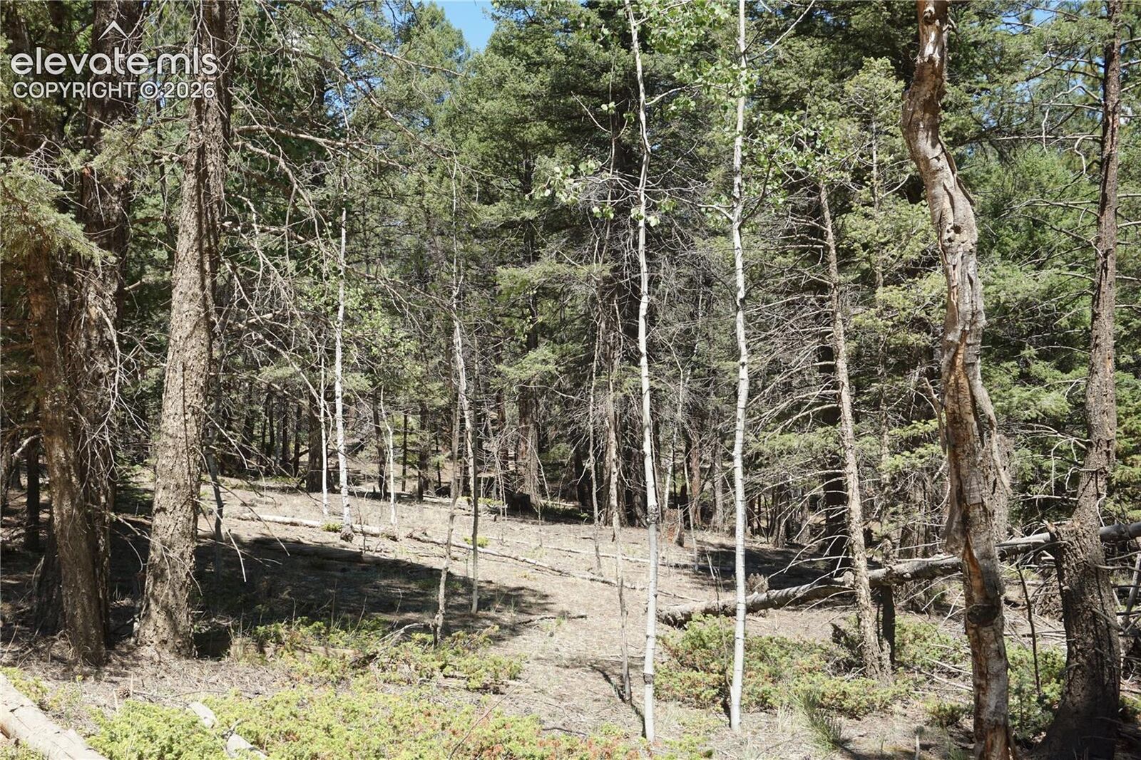 Property Photo:  616 Indian Creek Road  CO 80816 