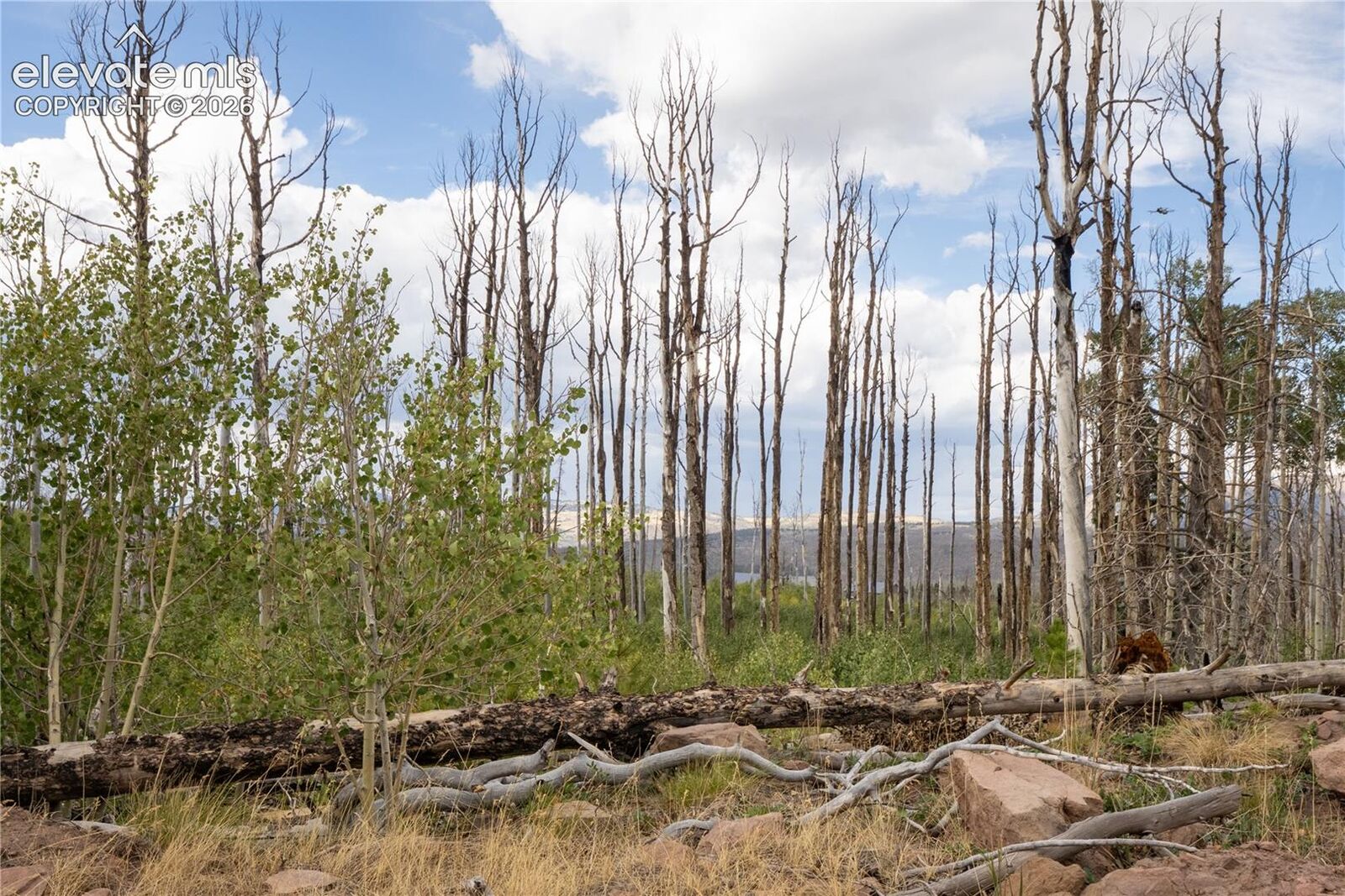 Property Photo:  Lot 1947 Hilda Lane  CO 81133 