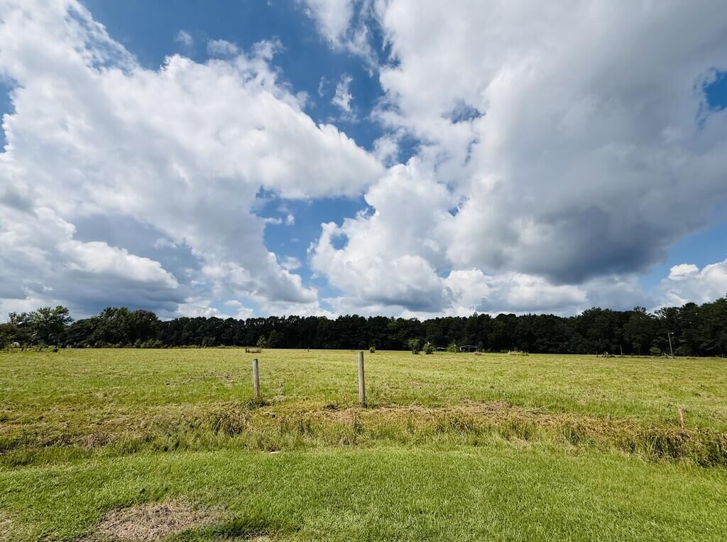 Property Photo: 25 Rack Rd Tract 2 MS 39466