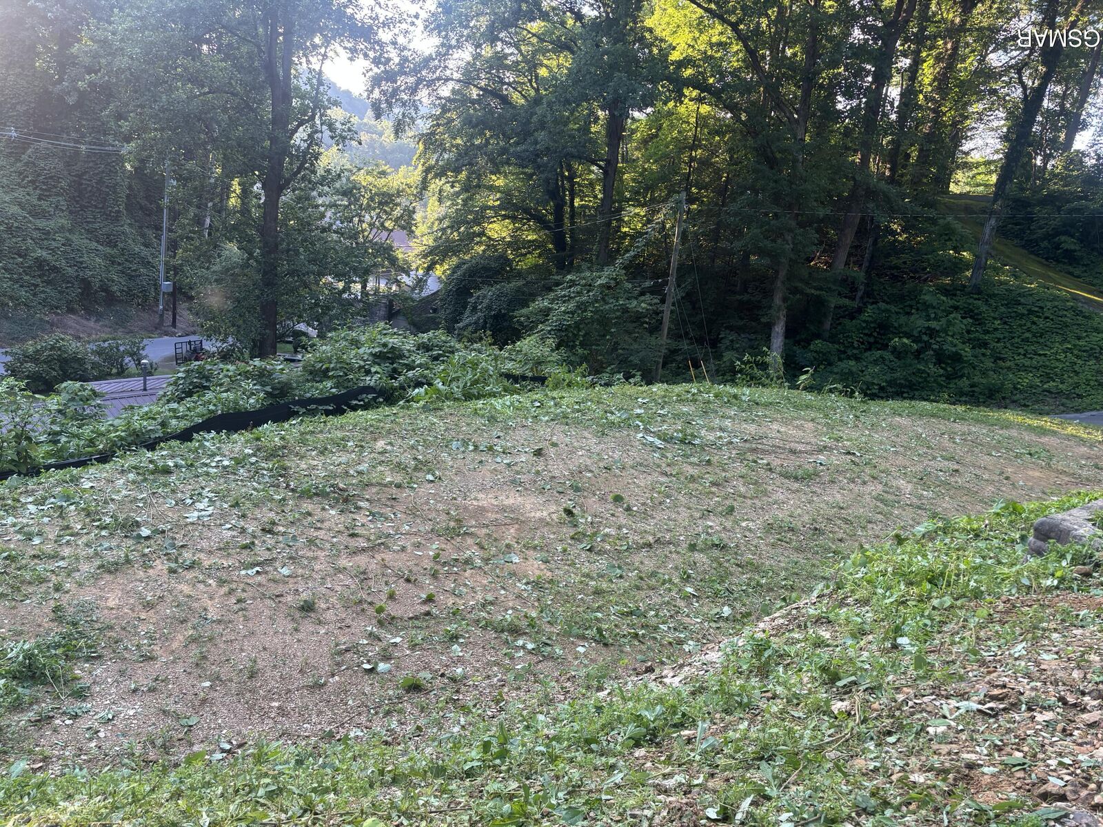 Property Photo: 229 Silverbell Lane TN 37738