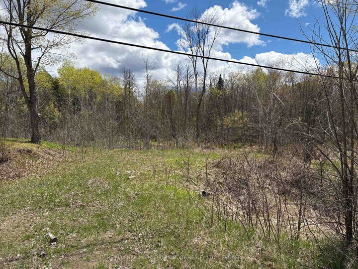 Property Photo:  Lot 0 County Road 38 N/A  ON K0H 2P0 