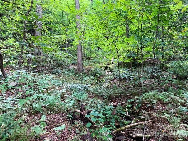 Property Photo:  000 Peppervine Circle  NC 28772 