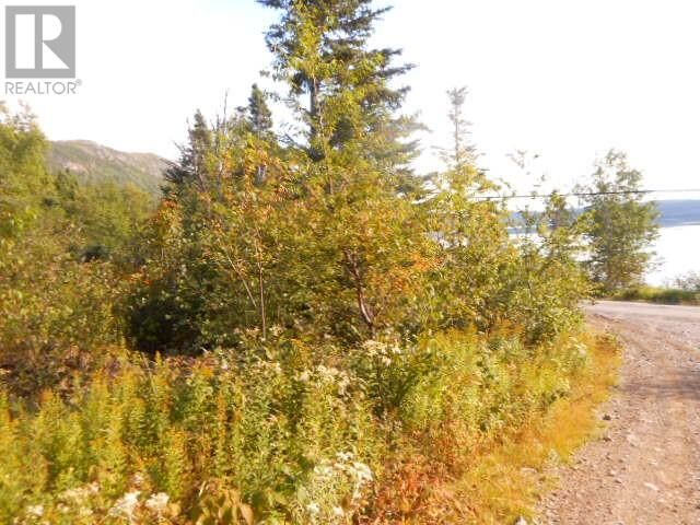 Property Photo:  00 Route 391-10  NL A0J 1H0 