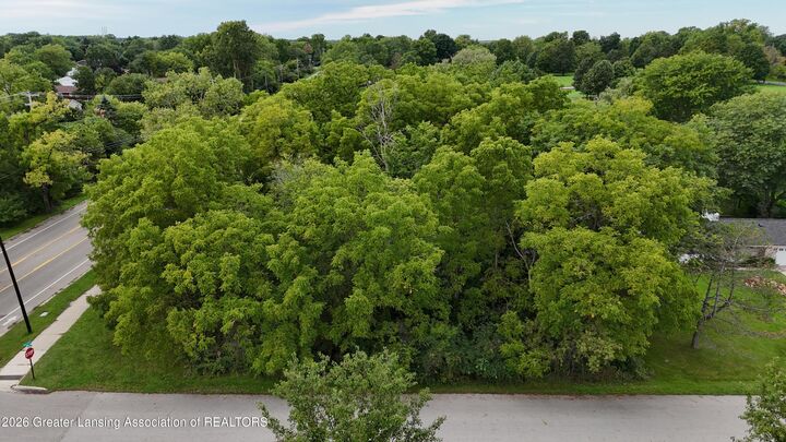 Property Photo:  0 Dawn Avenue  MI 48823 