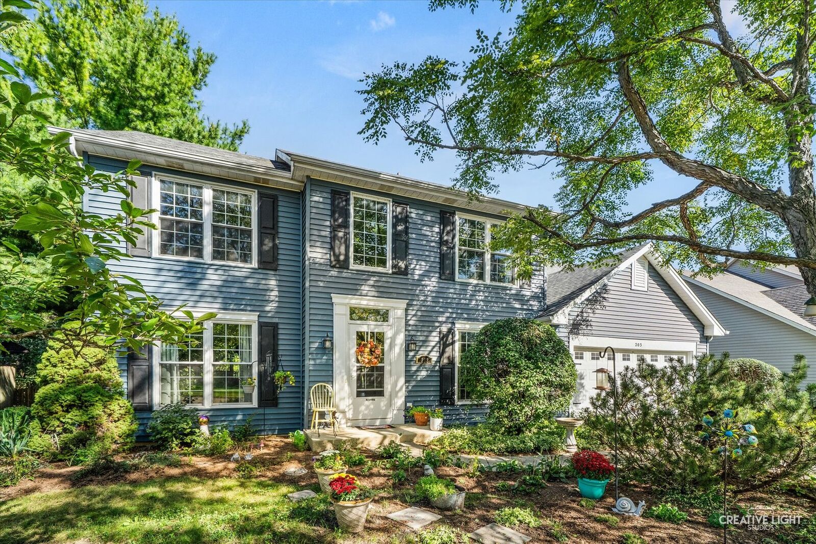 Property Photo: 203 Parkside Lane IL 60543