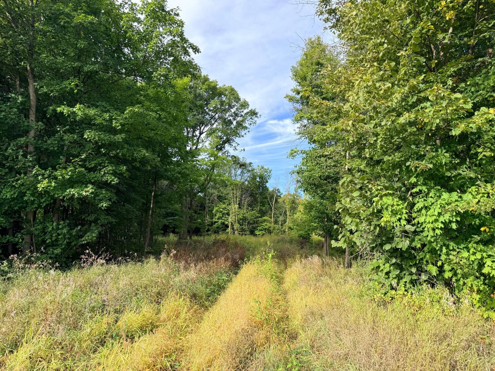 Property Photo:  0 Harlee Court Lot 3  MN 55387 