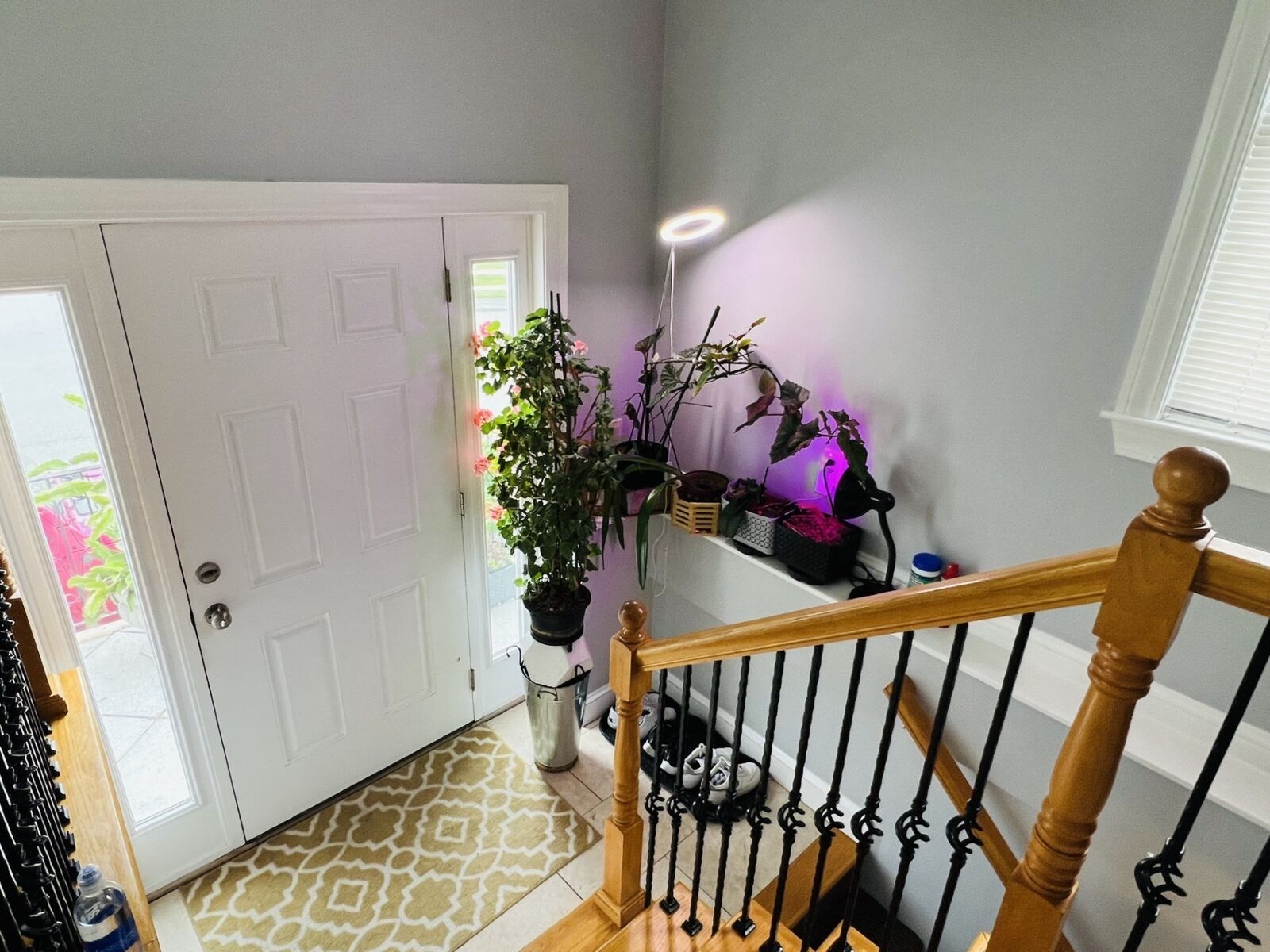 Property Photo:  10 Milano 1  MA 02151 