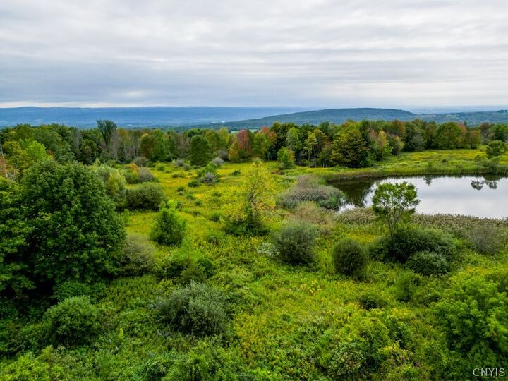 Property Photo:  144 Louis Ridge Rd  NY 13340 