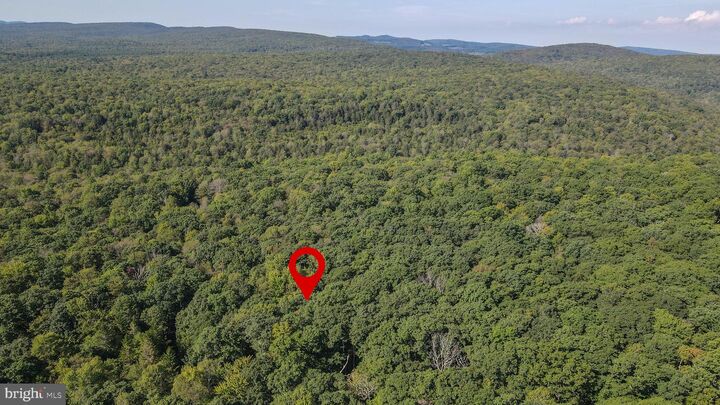 Property Photo:  Lot 40 Dogwood Drive  MD 21550 