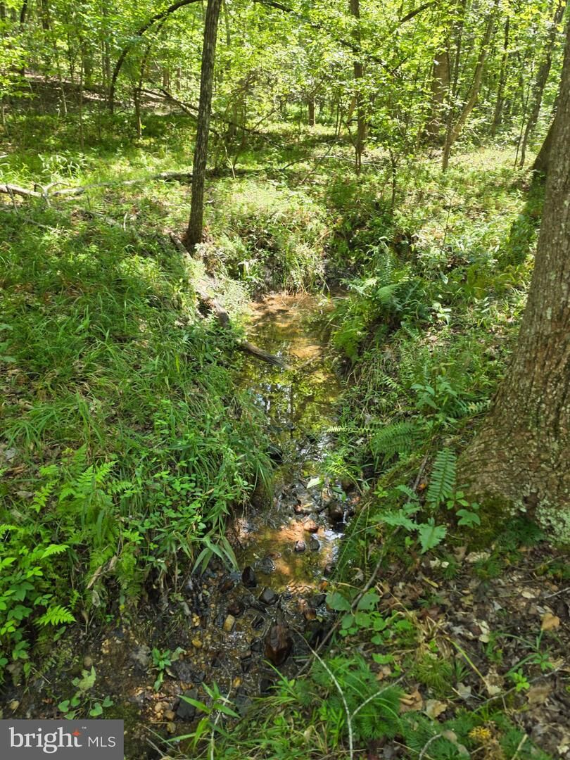 Property Photo:  Johnson Hollow  VA 23093 
