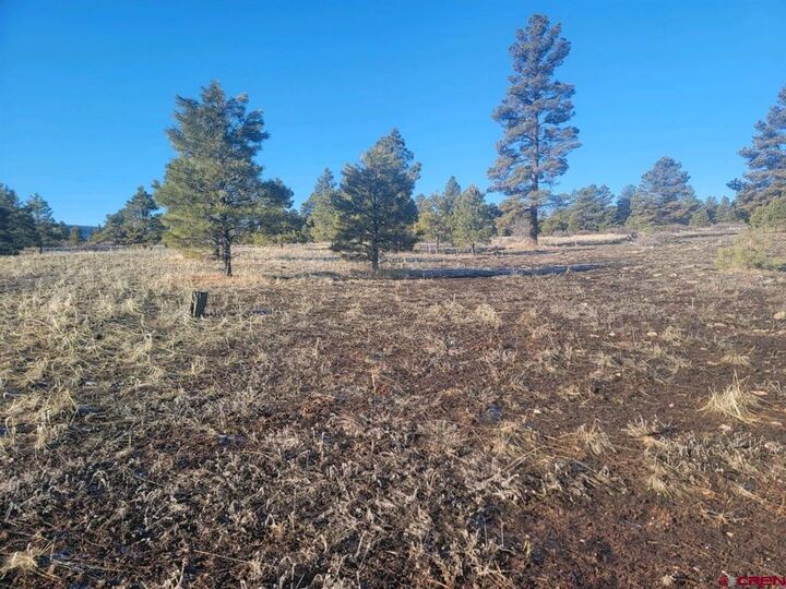 Property Photo:  660 Trails Boulevard  CO 81147 