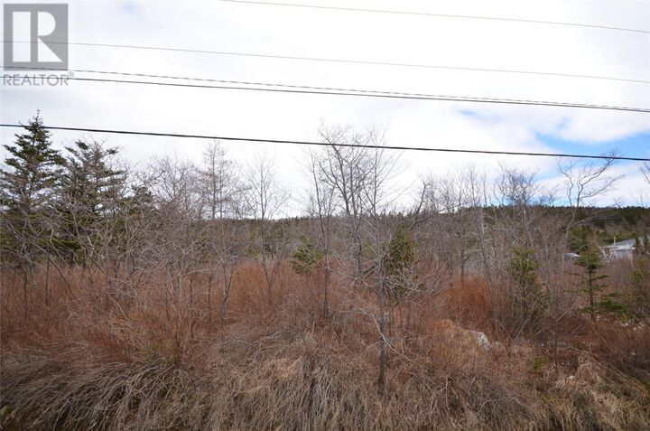 Property Photo:  125-127 Red Bridge Road  NL A1X 6V3 
