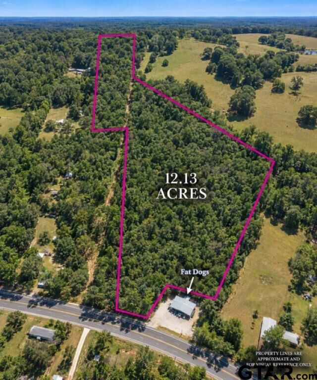 Property Photo:  1410 W Duval  TX 75789 