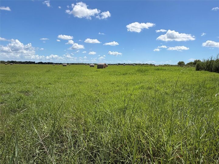 Property Photo:  0 County Road 170  TX 77511 