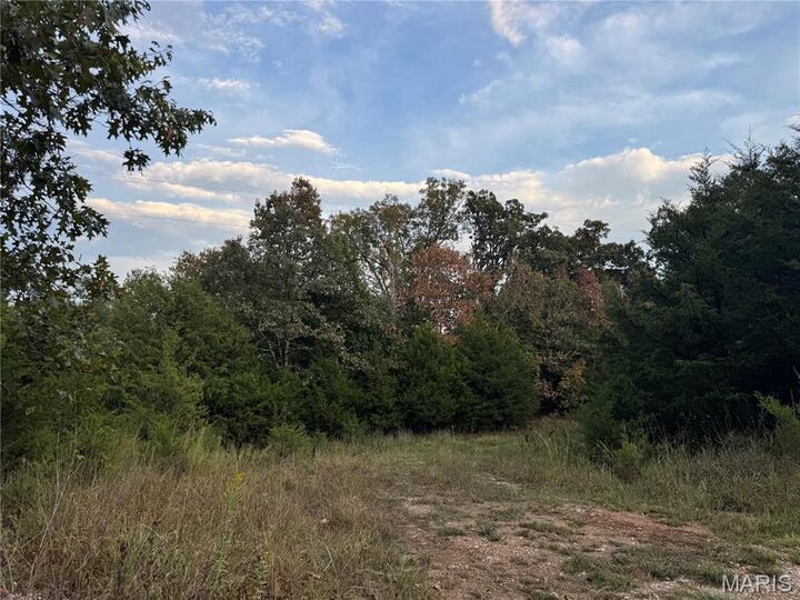 Property Photo:  0 Calvin Lane  MO 65459 