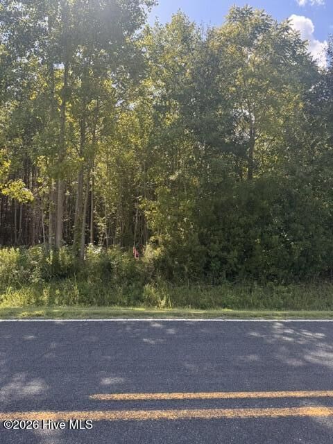 Property Photo: Lot 4 4 Great Swamp Road NC 28527