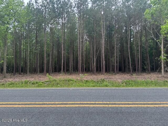 Property Photo: 1 1 Great Swamp Road NC 28527