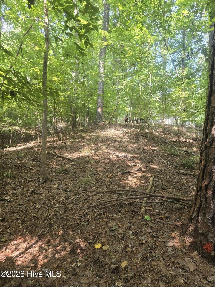 Property Photo:  Lot 12 Fishing Creek Estates Road  GA 30817 