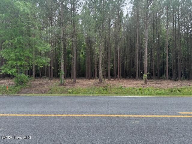 Property Photo:  2 2 Great Swamp  NC 28527 