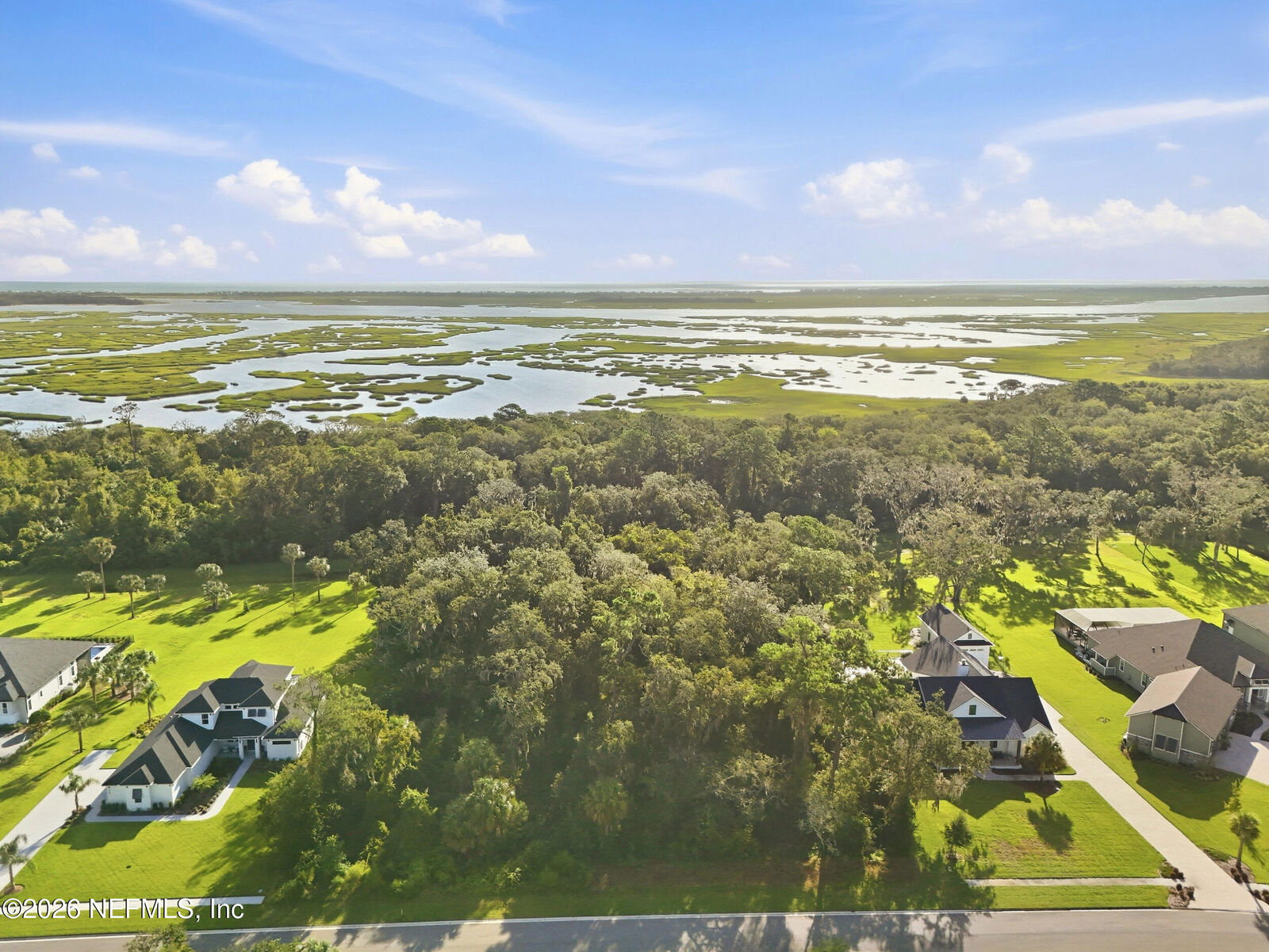 Property Photo:  186 Canopy Hall Drive  FL 32095 