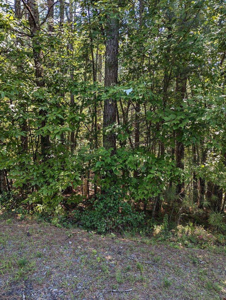 Property Photo: Lot 4 Highland Woods Road TN 37317